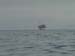 KG049767 kinsale gas b