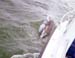 Dolphin2Slide