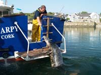 KG113289  charlie kinsale seal