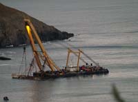 KG095566
