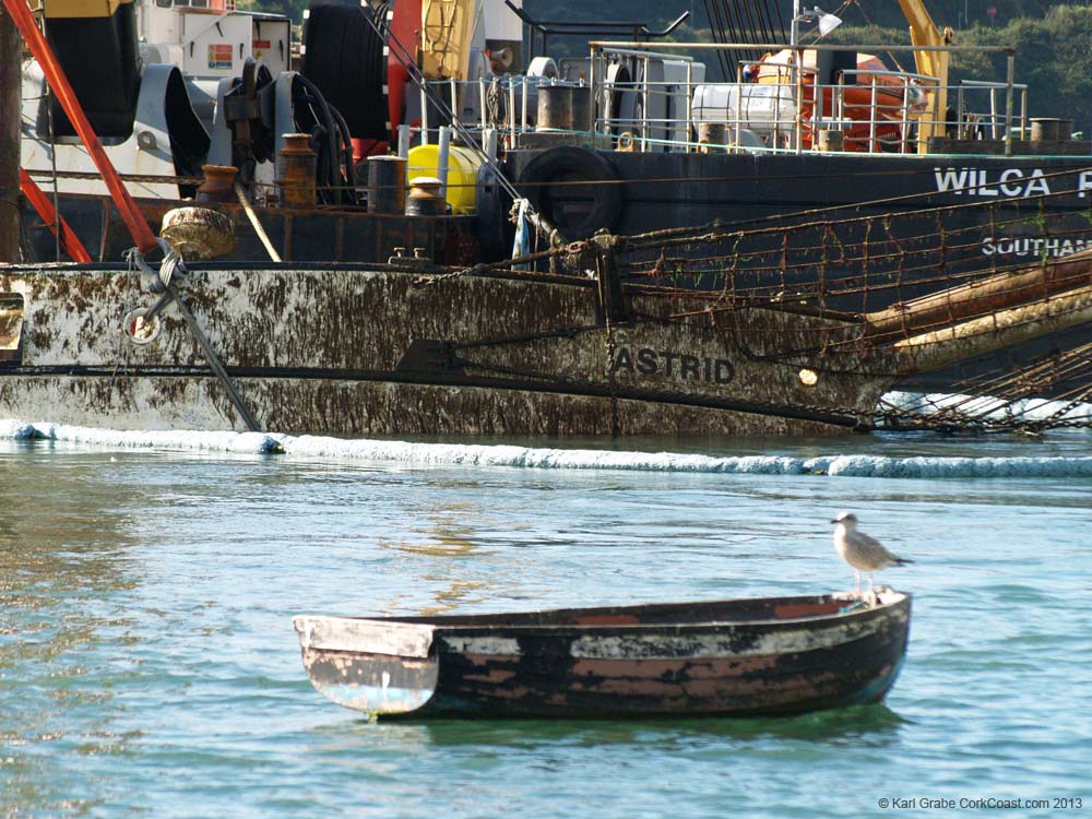 KG105661 astridand seagull
