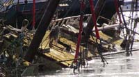 z IMG_0298