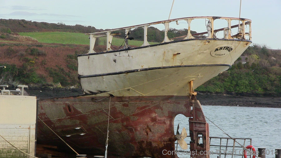 IMG_0847 Astrid Kinsale 2013.12.08