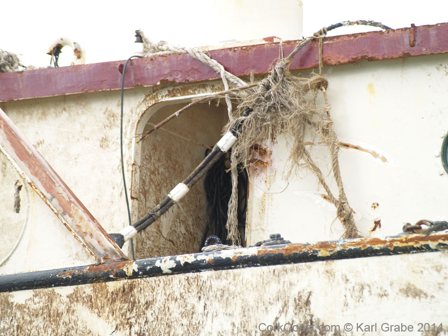 aKG135754Astrid2013.10.13