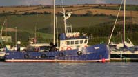 IMG_0233 trojan