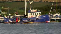 IMG_0234 trojan