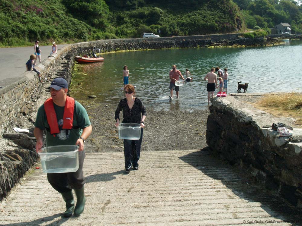 KG184362 Lough Hyne Touch Tanks