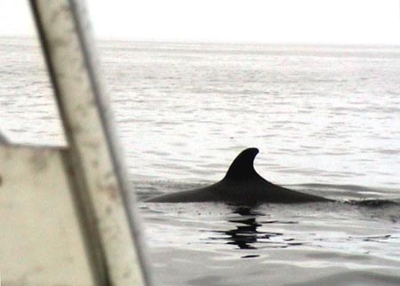 DSC02136