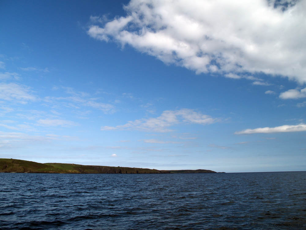 KG290562ca 7 heads from west