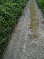 KG075457 old bridge road road marking still visible