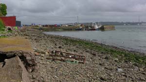 IMG_3829 2015 Cobh Cove Fort