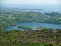 KG184416 Lough Hyne Stags in Background