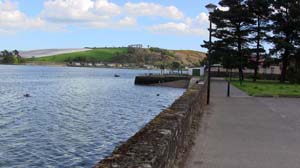 IMG_3670 2015 Passage West