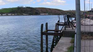 IMG_3677 2015 Passage West