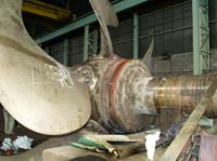 KG255005 p52 prop