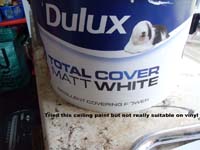 080 SDC11648 paint used - better to use outdoor paint instead