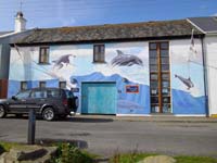 IMGP0135eShannonDolphinCentreKilrush