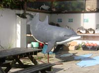 IMG_3163 fungi Dingle life size model