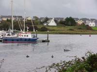 IMG_3166 dolphin bouys kilrush marina