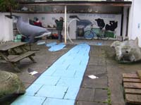 IMG_3196 shannon dolphine centre kilrush